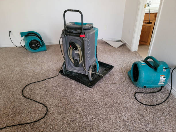 Best Mold removal after water damage  in Alpena, MI