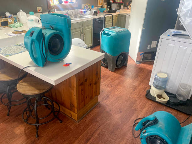 Best 24/7 water damage repair  in Alpena, MI