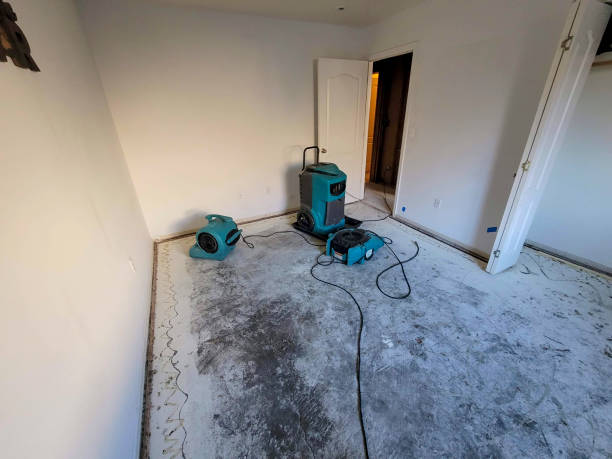 Best Water damage mitigation services  in Alpena, MI