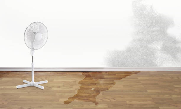 Best Emergency water damage restoration  in Alpena, MI