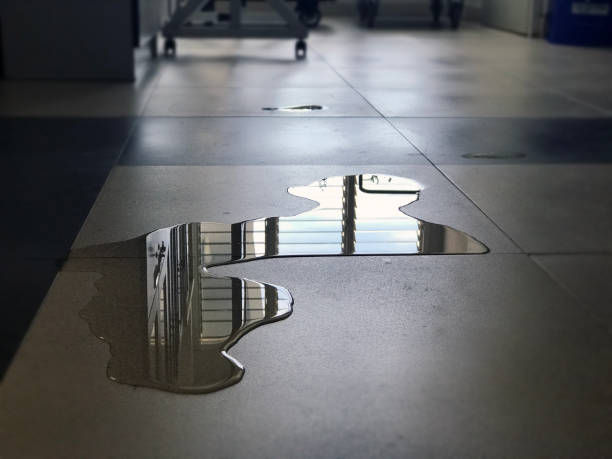Best Water damage mitigation services  in Alpena, MI
