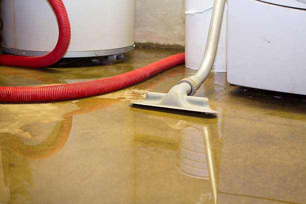 Best Basement water damage restoration  in Alpena, MI
