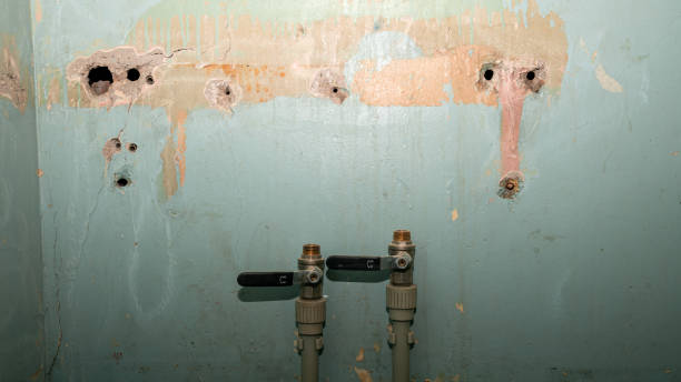 Best Ceiling water damage repair  in Alpena, MI