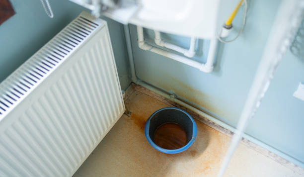 Best Water damage restoration insurance claims  in Alpena, MI