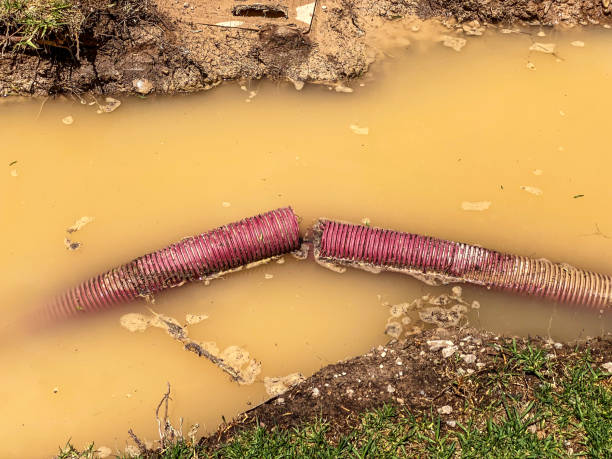 Best 24/7 water damage repair  in Alpena, MI